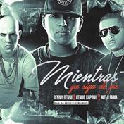 Mientras Yo Siga de Pie (feat. Benny Benni & Welo Fama) - Single