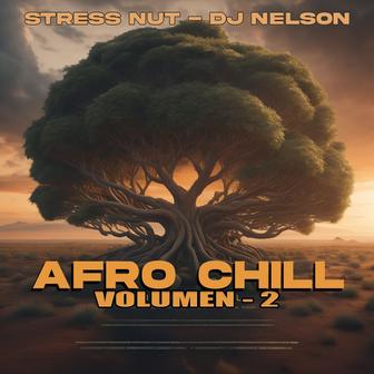 Afro Chill, Vol. 2