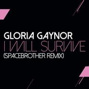 I Will Survive (Spacedbrother Remix)