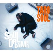 Soul Dreamer (Instrumental)