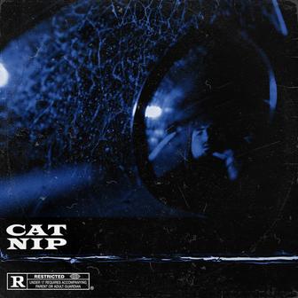 Cat Nip
