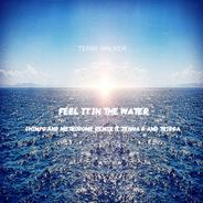 Feel It In The Water - Chimpo & Metrodome Remix