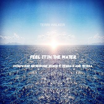 Feel It In The Water (Remix)