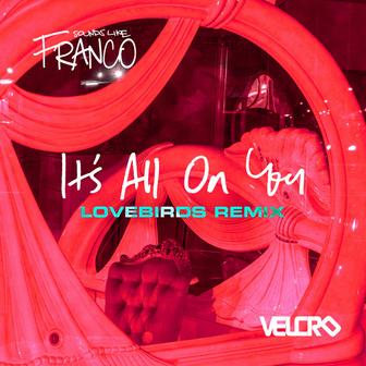 It's All on You (Lovebirds Remix)