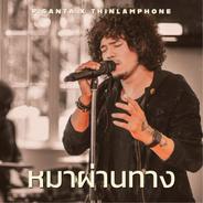 หมาผ่านทาง
