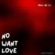 No Want Love