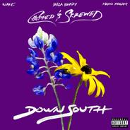 Down South (feat. Yella Beezy & Maxo Kream) - Chopped & Skrewed