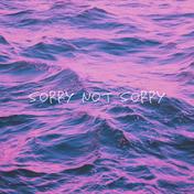 SORRY NOT SORRY (feat. ISH-ONE)