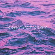 SORRY NOT SORRY (feat. ISH-ONE)