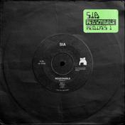 Reasonable Remixes 1 - Single
