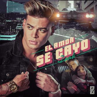 El Amor Se Cayó - Single