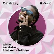 Winter Wonderland / Don't Worry Be Happy