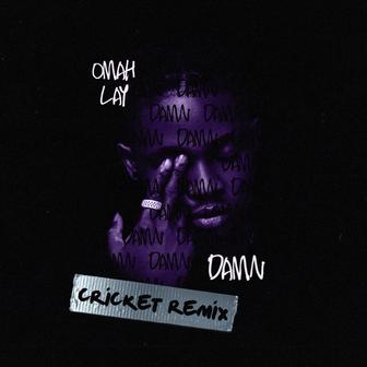 Damn (Cricket Remix) - Single