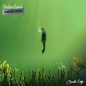 Understand (AMÉMÉ Remix) - Single