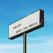 Too Late (feat. Anella)