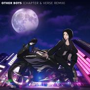 Other Boys - Chapter & Verse Remix