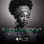Never Surrender (Radio Edit)