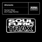 Human Wave (DJ Fudge Remix)