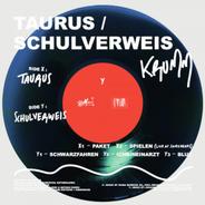 Schwarzfahren