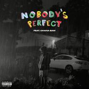 Nobody's Perfect