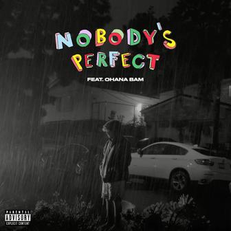 Nobody's Perfect