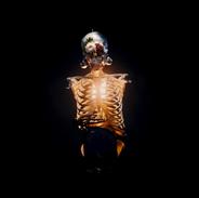 Bones