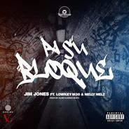 Pa Su Bloque (feat. Lowkey M30 & Nelly Nelz)