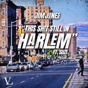 This Sh!T Still in Harlem (Radio) [feat. SUZI] - Single