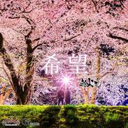 希望 - Instrumental