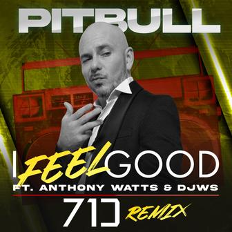 I Feel Good (71 Digits Remix) [feat. Anthony Watts & DJWS] - Single