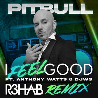 I Feel Good (feat. Anthony Watts & DJWS) [R3HAB Remix] - Single