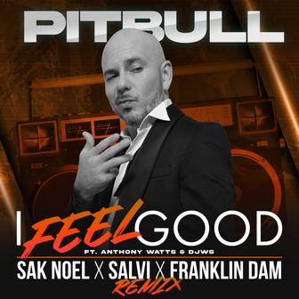 I Feel Good (feat. Anthony Watts & DJWS) [Sak Noel x Salvi x Franklin Dam Remix] - Single