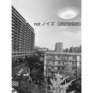not ノイズ - 20230920