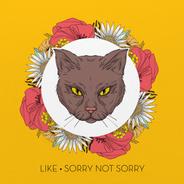 Sorry Not Sorry