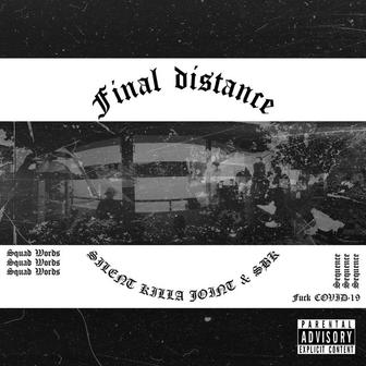 Final distance [accapella] (REMIX)