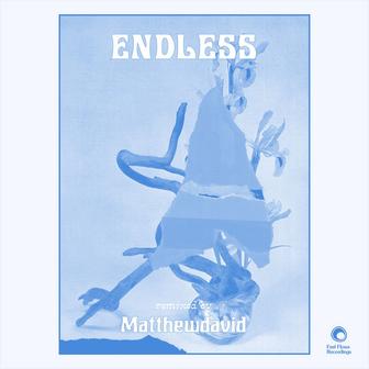 Endless (Matthewdavid Remix)