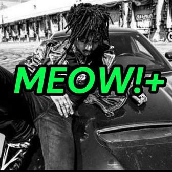 MEOW!