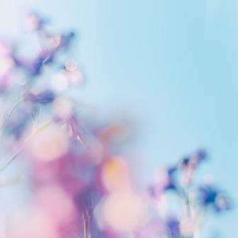 tengoku / Summer Conte