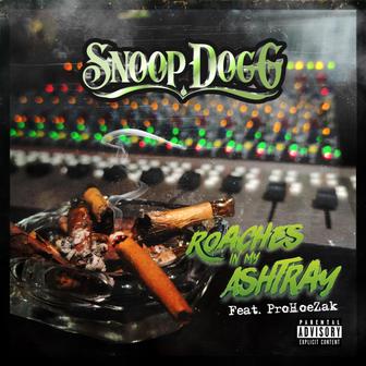Roaches In My Ashtray (feat. ProHoeZak) - Single