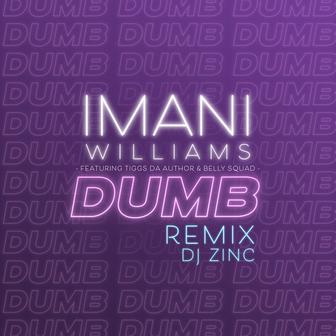 Dumb (feat. Tiggs Da Author & Belly Squad) [DJ Zinc Remix]