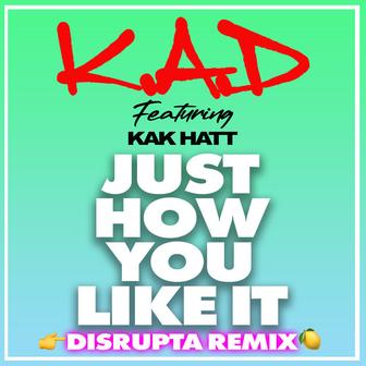 Just How You Like (Disrupta Remix)
