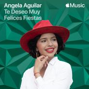 Te Deseo Muy Felices Fiestas
