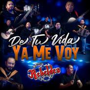 De Tu Vida Ya Me Voy