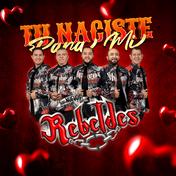 Tu Naciste Para Mi - Single