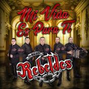 Mi Vida Es Para Ti - Single