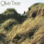 Olive Tree - Single