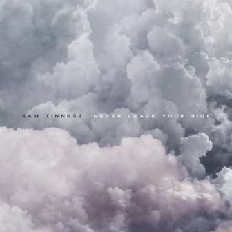 Never Leave Your Side - Single
