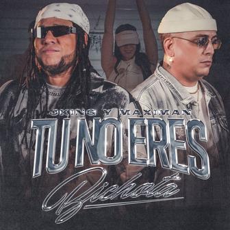 Tu No Eres Bichota - Single
