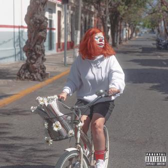tdbn - Single