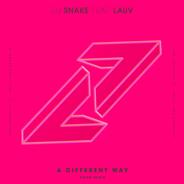 A Different Way (feat. Lauv) [Kayzo Remix]